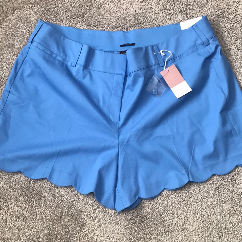 Lane Bryant scalloped shorts